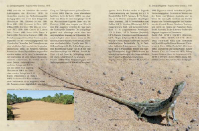 Bartagamen – Die Gattung Pogona